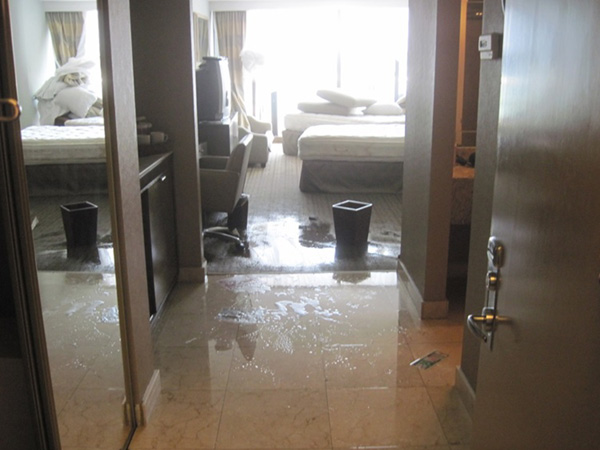 water damage cleanup palm beach